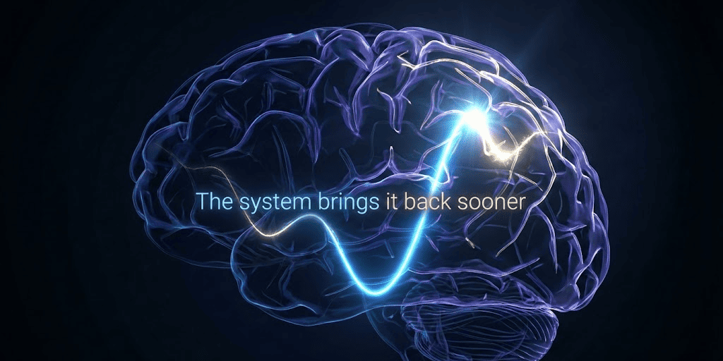 Ebbinghaus Forgetting Curve: Why You Forget Words and How to Fix It